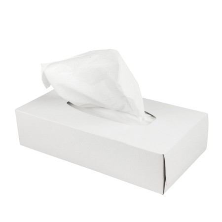 Omnimar Facial Tissue 2-lgs Cellulose Doos 40x100 vel