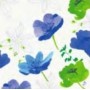Duni Dunilin Servetten 40x40cm 1/4-vouw Sunbrella Blue Luxe Pak 50 stuks - Op is op