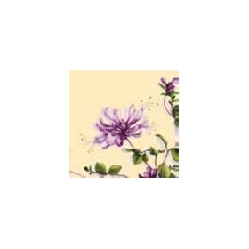 Duni Classic Servetten 40x40cm 4-lgs 1/4-vouw Dariella Pak 50 stuks - Op is op