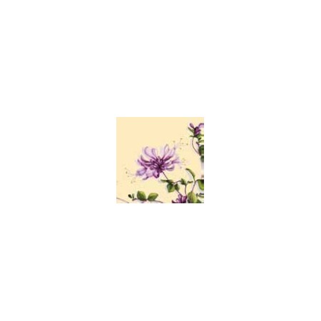 Duni Classic Servetten 40x40cm 4-lgs 1/4-vouw Dariella Pak 50 stuks - Op is op