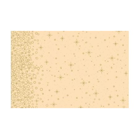 Tork Papieren Placemats 30x42cm Celebration Pak 100 stuks - Op is op
