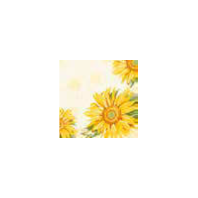 Duni Classic Servetten 40x40cm 4-lgs 1/4-vouw Sunray Pak 50 stuks - Op is op