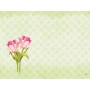Duni Dunicel Placemats 30x40cm Love Tulips Pak 100 stuks - Op is op