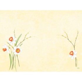 Duni Dunicel Placemats 30x40cm Daffodil Joy Pak 100 stuks - Op is op