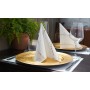 Duni Dunicel Tafelloper Rol 24mx40cm (Perforatie 1,20m) Golden Stardust White